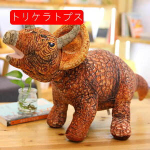 eBmTEX@ʂ݁@@50cm@70cm@105cm@@4΁@a@LO@@S@C@蕨@v[g@u@X@݁@傫@