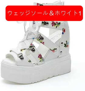 T_ 12cmq[T_ C V[gu[c u[cT_ EFbW\[ I[vgD ₷ Ȃ y gAbv  Wbp[t 22cm[26cm