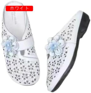 ~[ Xj[J[ GXjbN r[`T_ x  ][g _炩 Xb| Xj[J[ T{T_   ԕ ԏ U Xbp ʋC LC y AE