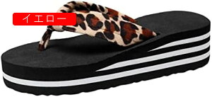 r[`T_ fB[X ItBX q[ EFbW S T{T_ EGbW\[ ~ ₷ ~[T_ fB[X S   RtH[gT_ zCg 