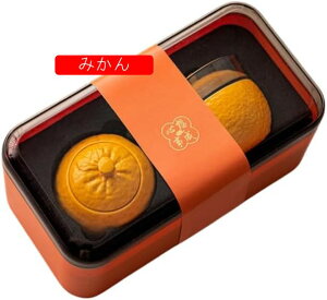 徳化焼 磁茶器 茶の入れ 湯飲み 急須 茶の缶 ラベル用茶器セット 超コンパクト収納 アウトドアで美味しいお茶を簡単に お茶缶 お出かけ用 中国茶ピクニック キャンプ 登山 グッドデザイン