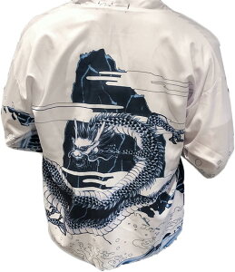 JWAVc Y aVc  HD   Ă~ J[fBK   Vc a {^Ȃ G ap[J[ r   ʋC ?