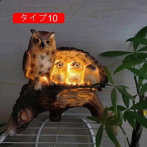 \[[ LED K[fjOu ԉ  uCg OK[ffR[VCg F C~l[VCg \[[plt ɂ₳ ȃGl h Ő z[d i