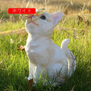 K[fCg \[[Cg L 킢u    h ϋv K[fI[ig \[[ _  K[fjOG OCg uCg ~  Ղ t