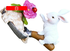 1 \[[rbgCg ETM̃\[[v ZT[ ~je[uv oj[fXNv C[X^[̃ETM \[[ Ő ̃A[g ṽtBjA N