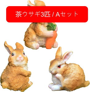 K[fjO  u CeA K[fI[ig  IuWF 3C Zbg ̒u ETM3C/AZbg