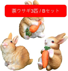 K[fjO  u CeA K[fI[ig  IuWF 3C Zbg ̒u ETM3C/AZbg