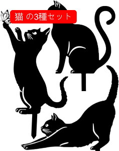 K[fjOG ETM 3ZbgI ANŎKтȂIhI K[fI[ig K[fIuWF K[fsbN K[fjO u (3Zbg)