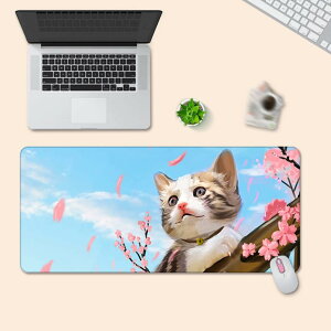 ^ Q[~O}EXpbh J[ h ~ L[{[hpbh ItBX z [U[ 900*400*5mm w}EXKp  fXN}bg ϐ ₷ Sx[X Q