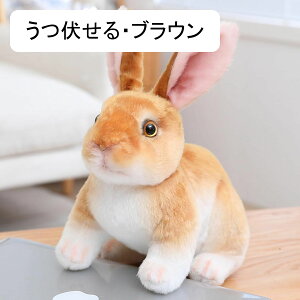 Aʂ ʂ { eD GG p ETM ӂ  ӂ { xbhTCh hV̓ o^C  i V~[