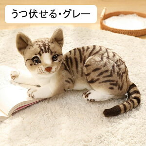 ˂ ʂ { AlR D  L D g h[ X u v[g Be Mtg l`  GG  j _炩