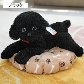 トイプードル ぬいぐるみ 本物そっくり リアル縫いぐるみ もこもこ 抱き枕 かわいい キュート 居眠り枕 背もたれ やわらか お癒し リラックス 55cm 子供用 彼女 女の子 誕生日 お祝い ギフト