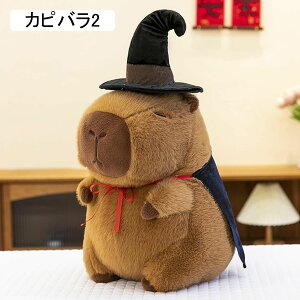 Jso ʂ D   GG n  킢 _炩 RtH[g q l j a NX}X 蕨 Jso1 45cm