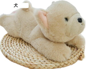 XbvuXbg ʂ F Xgoh  oO 킢    G ӂӂ _炩 n jv[g TvCY xbh[ 25cm