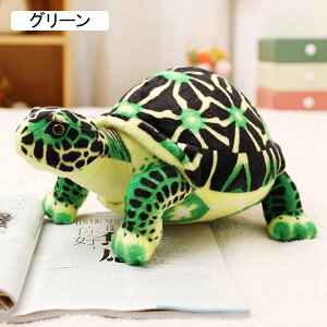 ʂ J TD {肨 ܂ 38cmi0.35kgj Aʂ 薍 Q V~[V C 炩  ObY LbY