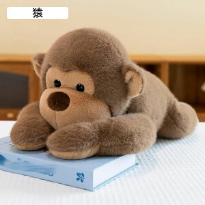 AUV ʂ  AUVl` D ӂӂ GG n  _炩  CeA j a NX}X o^Cf[ v[g RA 53cm