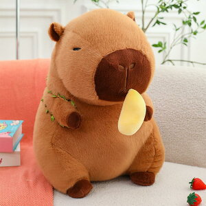 Jso  ʂ YQ GG PP ӂӂ  Jsol` _炩 RtH[g Ƒ FB q j a NX}X 蕨 Jso 60cm