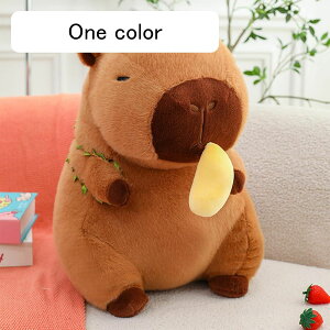 Jso  ʂ YQ GG PP ӂӂ  Jsol` _炩 RtH[g Ƒ FB q j a NX}X 蕨 Jso 60cm