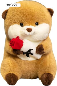 Jsoʂ D  ooJsGG n tt Jsol` y  ޏ ގ o^Cf[ j a NX}X v[g Jso 24cm