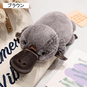 ʂ Aqb D  GG n  PP 炩 y  Ƒ FB o^Cf[ j a NX}X Mtg CG[ 45cm