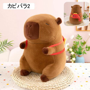 Jsoʂ D  Jsol` GG n  _炩 y  ޏ ގ o^Cf[ j a NX}X 蕨 Jso1 30cm