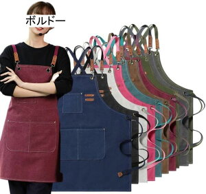 Gv  [NGv V[g fj JtF 傫TCY Ԃ邾 Ԃ  IV fB[X Y l k n NX  킢  h L