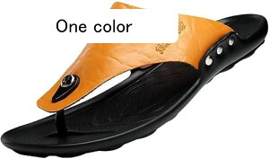 Y T_ gOT_ r[`T_ ][gT_ @ ʋC Ȃ obNXgbv xg ƂȂ Xbp r[T AEghA Ȃ s  t 