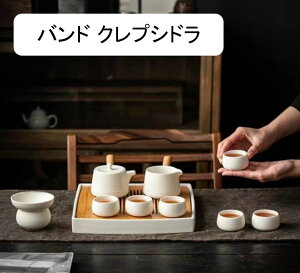 中国茶器 ティーセット 台湾茶器セット 急須セット 茶器 湯呑み 茶入 茶托 白い片手鍋 陶瓷茶具 功夫茶具 陶器 磁器 来客用 贈り物にも 白玉 6客 (茶筒付き)