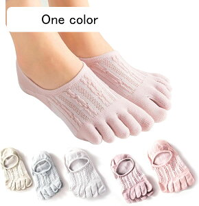 5{w\bNX fB[X ėp C ԂC fB[X X|[cp 5F  Ȃ EȂ Xj[J[\bNX  V[g    ܖ{wC5Zbg