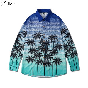 Vc J݃Vc Y 傫TCY  t nCA An Hp ėp ~p y t@bV v[g ނ j jp AEghA