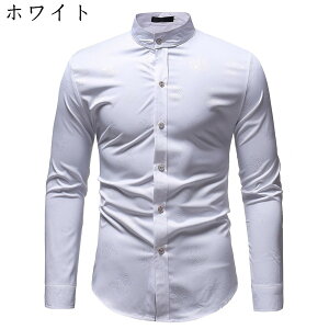 J݃Vc Vc Y 傫TCY  CVc t Hp An ĕ ~  Vc y  ނ j jp AEghA