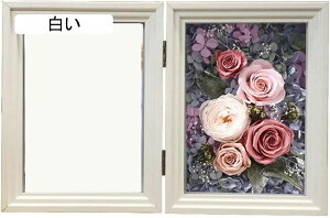 vU[uht[ uU[ht[ ʐ^ tHgt[ 15*20.5cm 蕨 a v[g    LO ސEj j җj uE JXj {bNX