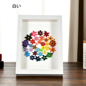 t[  uU[uht[ EGJ{[h tHgt[ 15.2*10.2cm Ǌ|   ̊z s [ XNGA ` {bNX^ tBMA  | nh