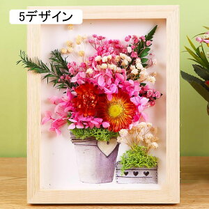 vU[uht[ ʐ^ tHgt[ 蕨 20.3*25.4cm a v[g    j җj LO ސEj JXj hV̓ t[ uU