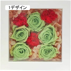  ^ ӏ LO vU[uht[ 18*18*6.5cm  ʐ^ a j 킢  e oYj d jd 蕨 ~ hV̓ v[g tHgt[