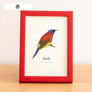 ʐ^ 2L tHgt[ ʐ^ ؐ  tHgX^h ʐ^t[ Vv ʐ^  t[ z i` ʐ^X^h cp u 21*29.7cm 