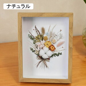 tHgt[ Lrl ubN 140×190ʐ^  ̊z {bNXt[ z [24mm {bNXt[ ؐt[ pXeJ[ 22.4*31cm z A[g{bN