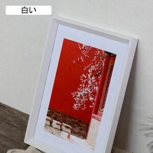 tHgt[ i` tHgt[ |XgJ[hTCY |XgJ[h  ؐ AeB[N Ǌ| u ʐ^ ubN 킢 ʐ^ Vv 29.7*42CM X^