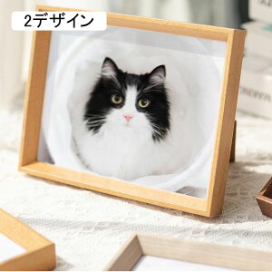 ʐ^ tHgt[ ʐ^  ސE v[g  3fUC LO a AN aL 킢  oY j o  ꂢ 20.3*25.4cm