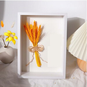 tHgt[ ʐ^   ̊z {bNXt[ z [30mm {bNXt[ ؐt[ pXeJ[ z A[g{bNXt[ ̊z tHgt[  v