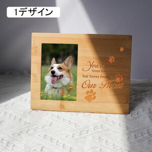  oY S ⍥  LOi J JX Vz 1fUC z e 蕨   җ  P Ď  싅 TbJ[ 25cm*19.5cm v[g | |