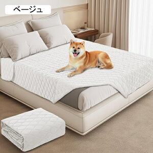 \t@[Jo[ h }`Jo[ hV[c VO _u xbh o[Vu hJo[ xbh L΍ یƋ \t@Jo[ @Ŋې JԂg ݑϐ  