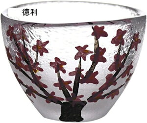 ` ~ Zbg  Ƃ ۂ 傱 Zbg KXZbg ϔMKX  a  u KX OX i fG j 6_Zbg 