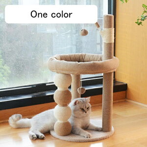 Lbg^[ u  y  RpNg VjAL ~Čp ^L 芴  ]|h~fUC J[LF W] 40*78 Lxbh ^s ȃXy[X X