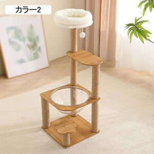 u Lbg^[ ^L X FD _ VjA  J[2  ܌ 36cm NA{E ^s   ϋv L^[ ܂Ƃ oo RpNg