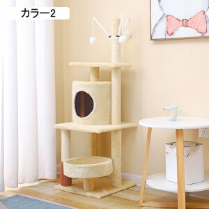 L ܌ c^ ܂Ƃ|[ Lc[ Lbg^[  L ȃXy[X ^s J[2 Vя L^[ u 54cm X Ⴂ ^ L܂Ƃ  ϗp ȃXy[