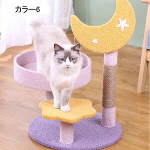 Lbg^[ ~j L^[   ^  u RpNg ȃXy[X ܂Ƃ  J[6 CeA Vv 킢 L ˂xbh 42cm ybgObY L