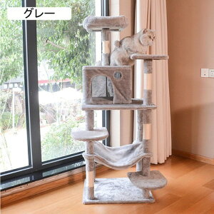 Lbg^[ X u  L^[ LnEX ܌|[ B 55*45*140 t ~ ^L qL  o₷ @\  O[ ^s