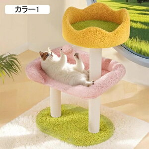 L Xebv q qL Ki ybgp 42cm L̊Ki KiXebv IV ~ J[1 \t@ ݑ ^  VjA Lxbh LXebv ܂Ƃ Lbg^[ ˂