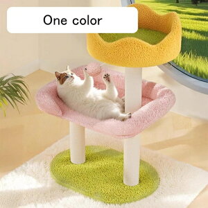 L Xebv q qL Ki ybgp 42cm L̊Ki KiXebv IV ~ J[1 \t@ ݑ ^  VjA Lxbh LXebv ܂Ƃ Lbg^[ ˂